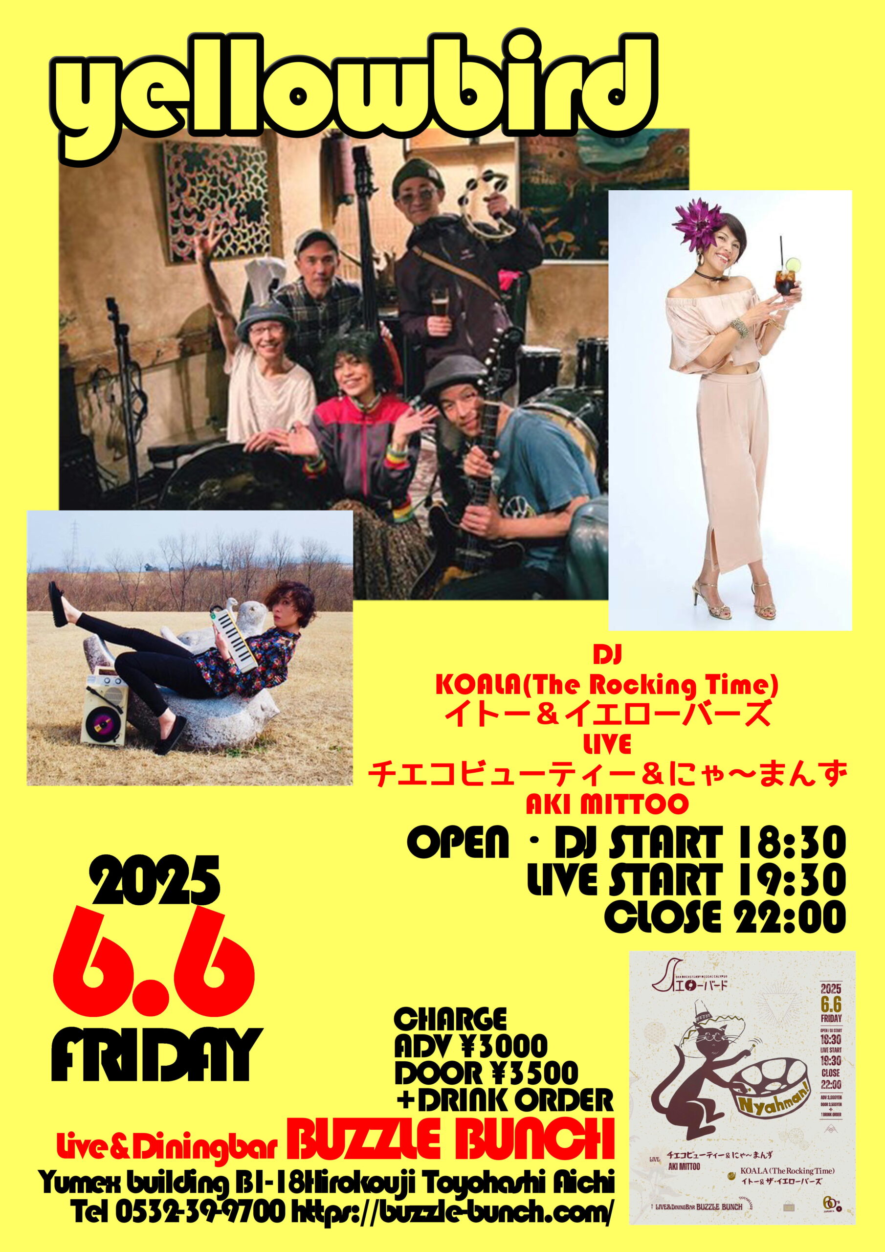 2025年6月6日(Fri) YELLOW BIRD